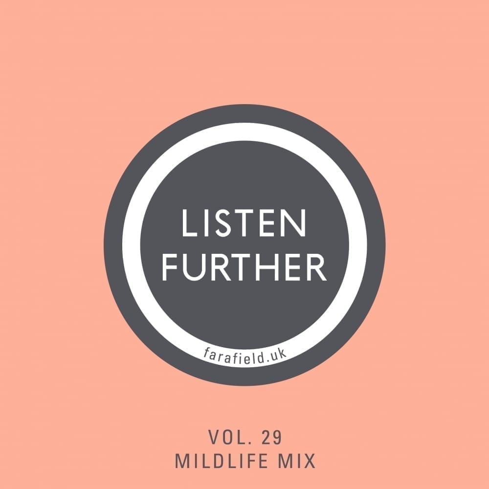 Listen Further Volume 29 - Untitled Mix